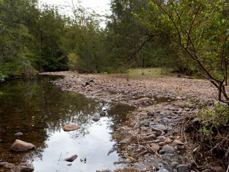 Long Gully campground, Budawang National Park. Photo: Lucas Boyd &copy; DPIE