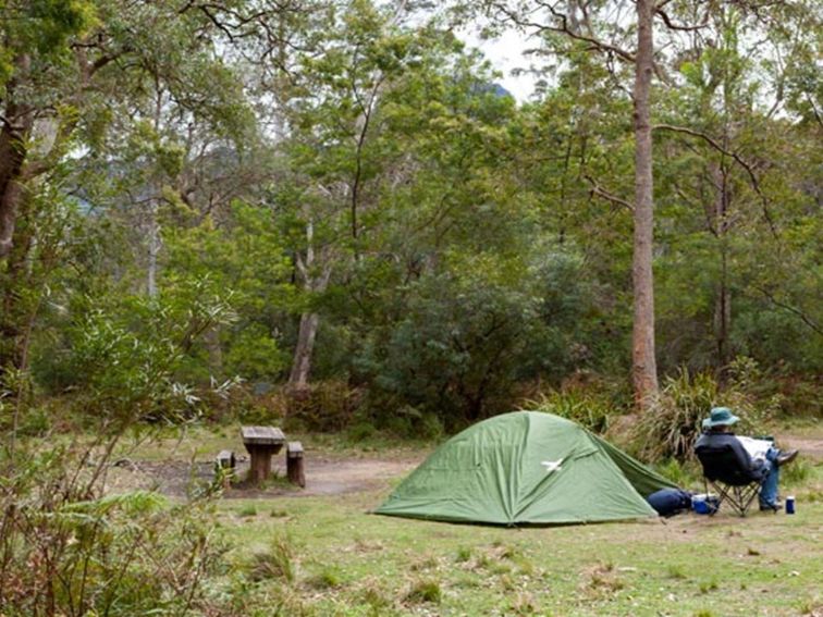 Long Gully picnic area, Budawang National Park. Photo: Lucas Boyd &copy; DPIE