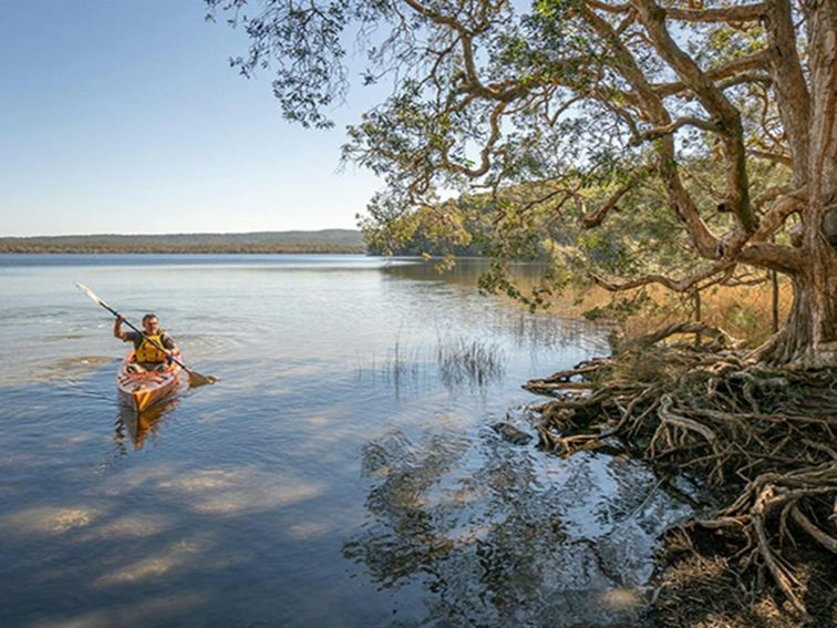 Visitor paddling across Boolambayte Lake, Bungarie Bay campground. Credit: John Spencer &copy; DPE