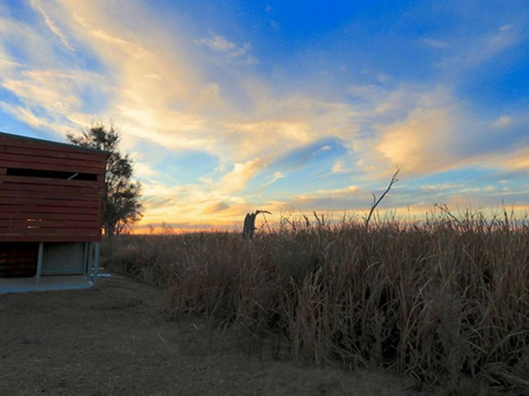 Wood and steel bird hide at the edge of Waterbird Lagoon at sunset. Photo: James Faris/OEH.