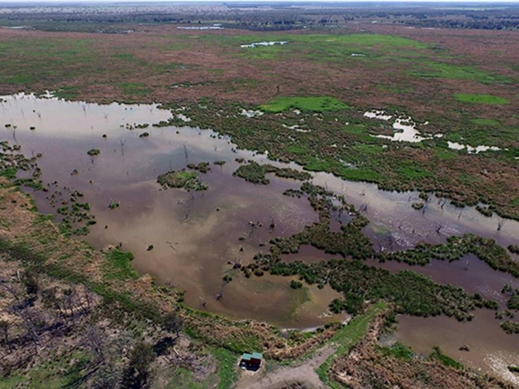 Aerial view of Waterbird Lagoon next to flooded water holes alongside with green and brown