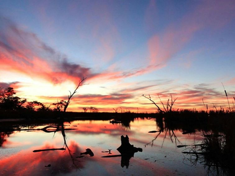 View of red and orange sunset sky over flooded waterhole and fringing plants. Photo: James Faris/OEH