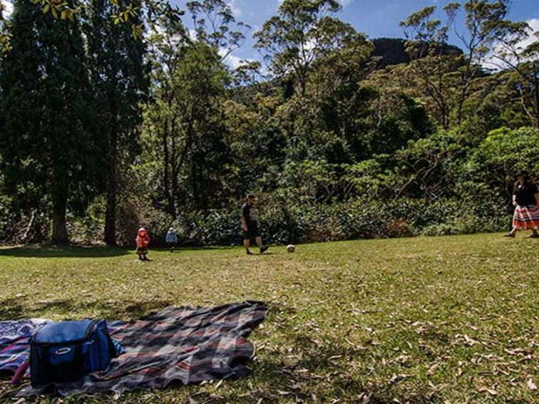 Byarong Park, Illawarra Escarpment State Conservation Area. Photo: John Spencer