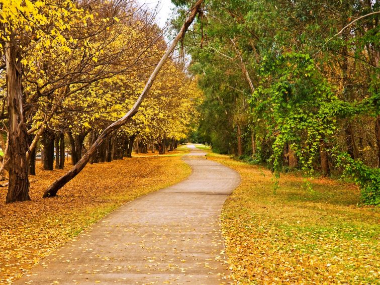 Camden Nepean Cycleway