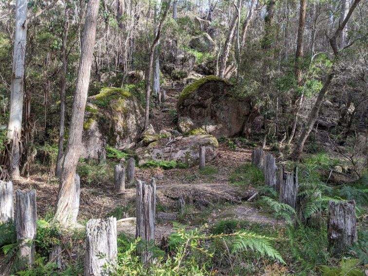 World War II Tank Traps Mount Lindesay