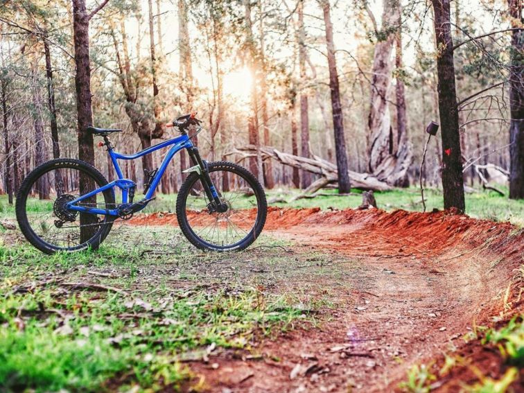 Dirt track with bike leaning on the tree. Sunset in the back ground.