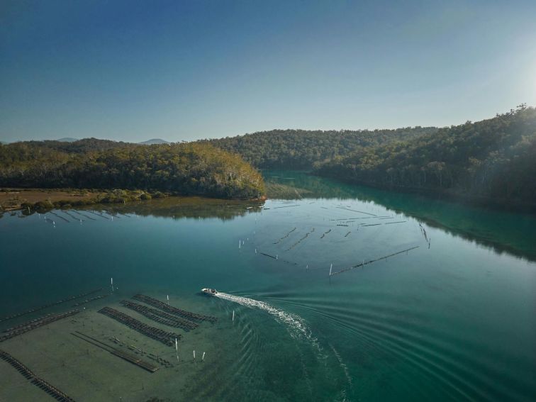 Pambula Lake, Sapphire Coast NSW