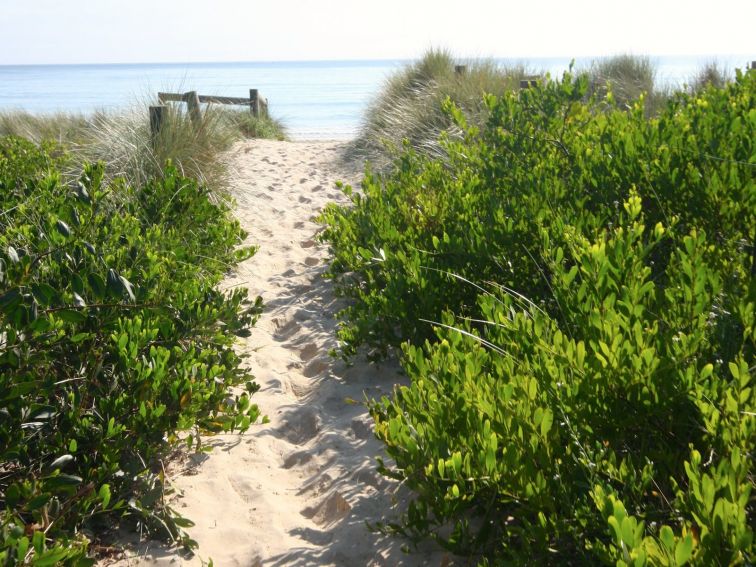 beach, walk, path, sand, surf, sun