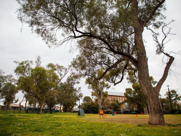 Queen Elizabeth Park (Dog Park)