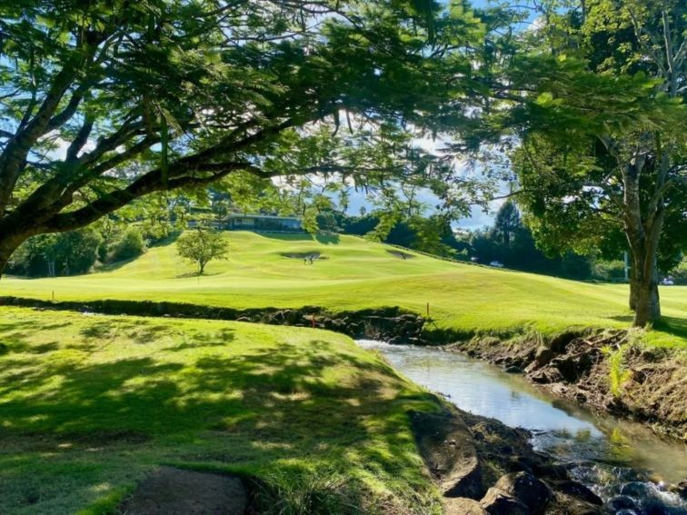 Creek running through golf course