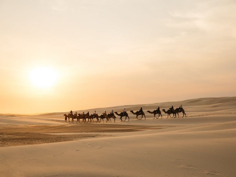 Camel Riding on Stockton Beach