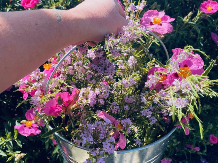 Flowers from the Rob Lin Lee garden