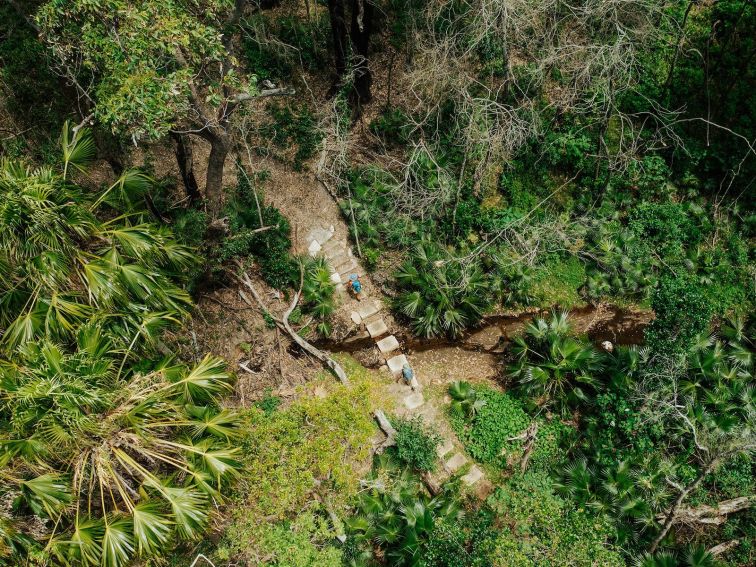 A photo from above of walkers in a lush forest on the Murramarang South Coast Walk