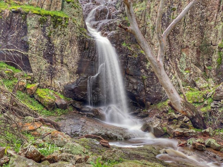 Koorawatha Falls