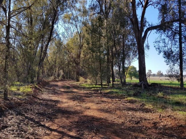 Biking the Bland