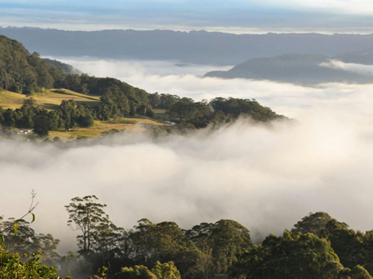 Morning Fog, Cambewarra Range Nature Reserve. Photo: J Devereaux/OEH