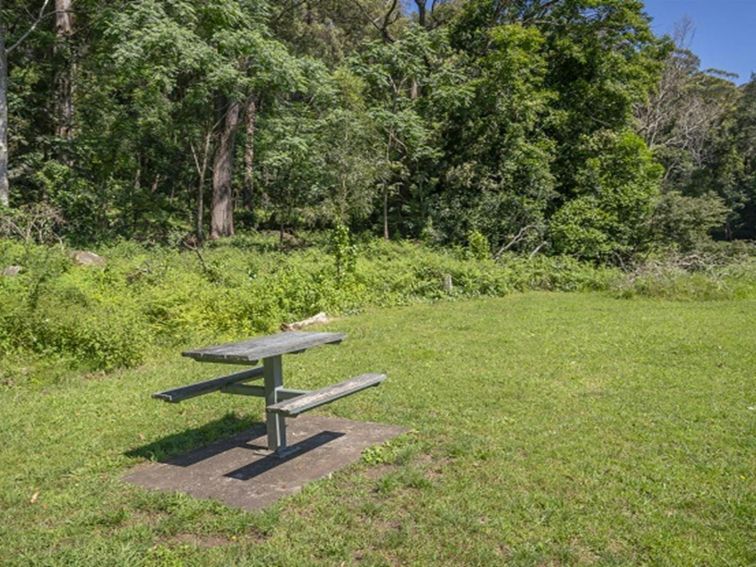 Picnic table at Cascades picnic area, Macquarie Pass National Park. Photo: John Spencer &copy;DPIE