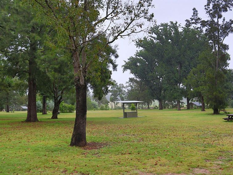 A barbeque and picnic sheds at Cattai Farm picnic area in Cattai National Park, on the Hawkesbury