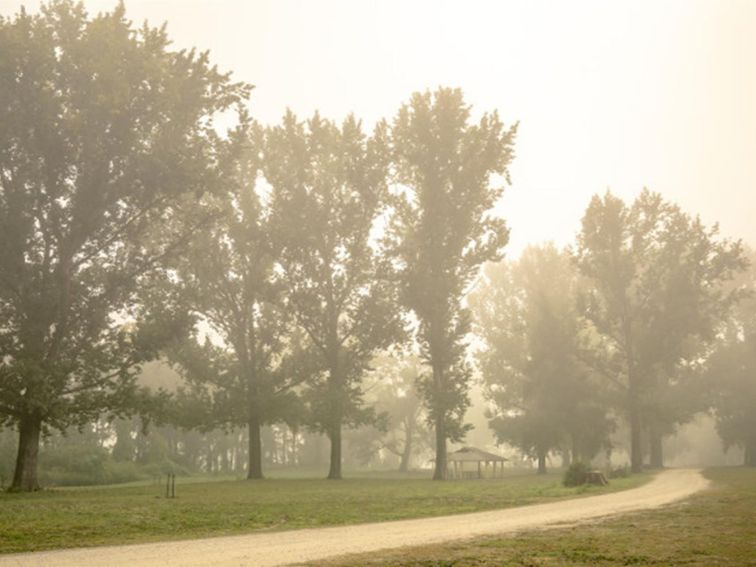 A dirt road winding through Cattai Farm picnic area on a misty morning in Cattai National Park.