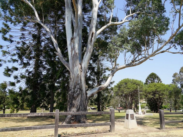 Hawkesbury City Council