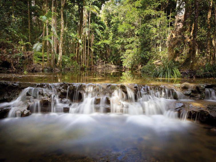 Cascading water in Orara East State Forest