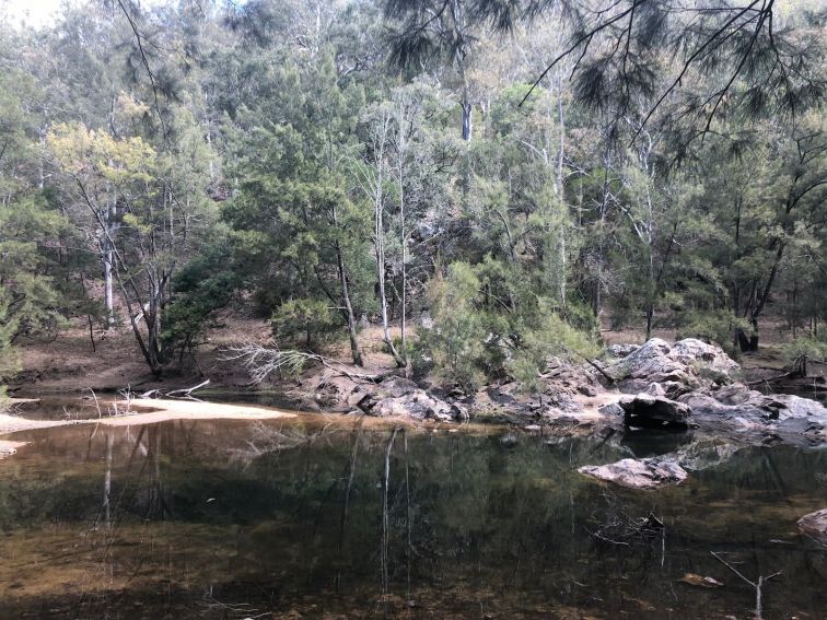 Deua River Campground