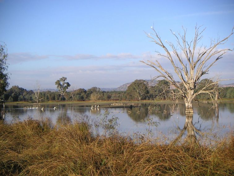 Wetlands Lagoon