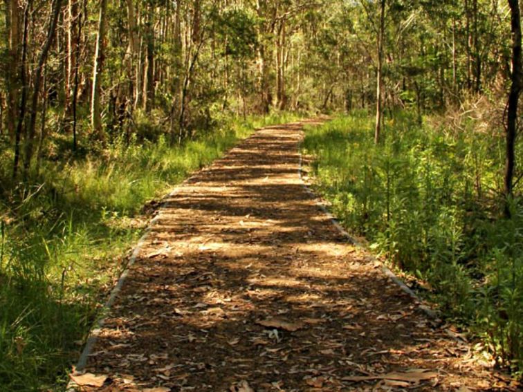 Heritage walking track, Blue Gum Hills Regional Park. Photo: John Yurasek