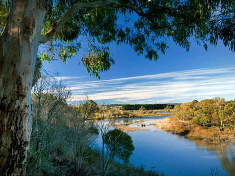 Cecil Hoskins Nature Reserve. Photo: Nick Cubbin &copy; DPIE