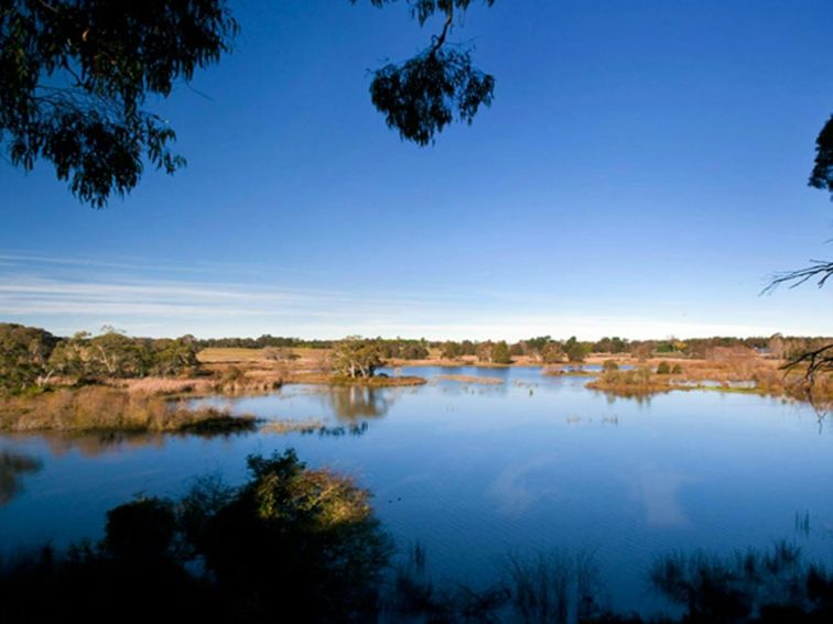 Cecil Hoskins Nature Reserve. Photo: Nick Cubbin &copy; DPIE