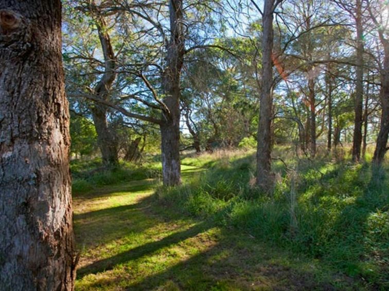 Wingecarribee River Walk, Cecil Hoskins Nature Reserve. Photo: Nick Cubbin &copy; DPIE