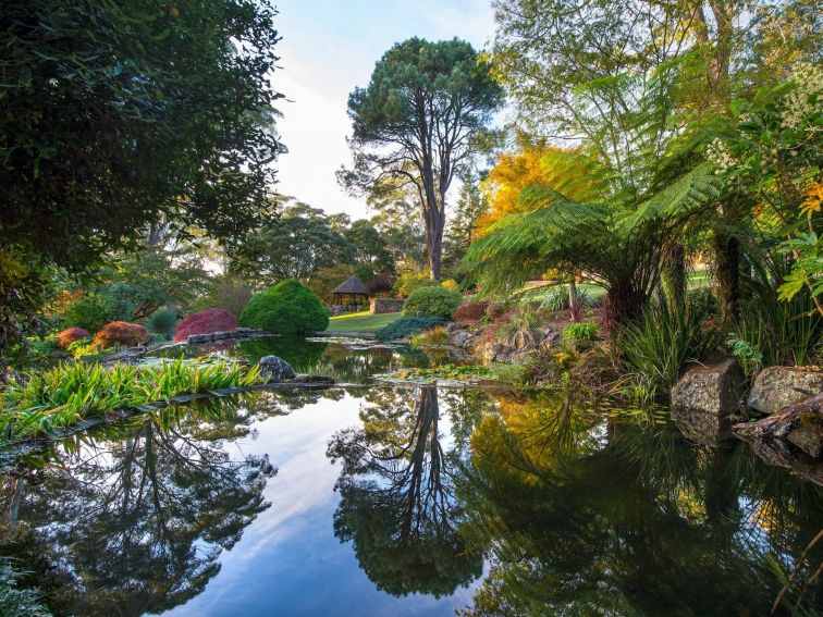 Windyridge Garden Mount Wilson