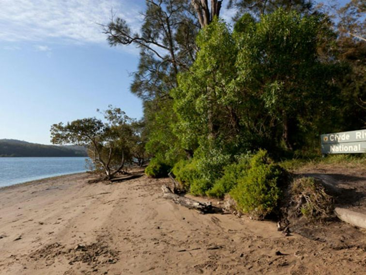 Beach campground daytime, Clyde River National Park. Photo: Lucas Boyd &copy; DPIE