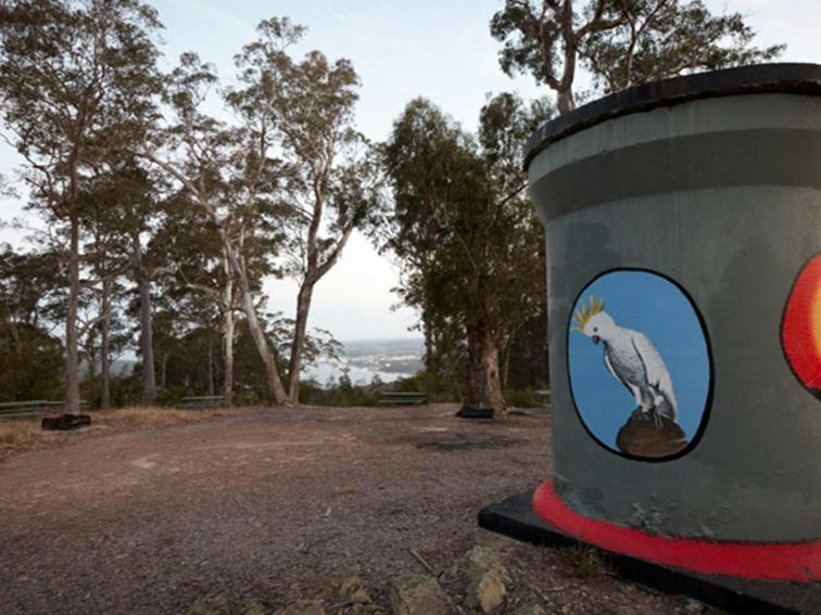 Holmes lookout area, Clyde River National Park. Photo: Lucas Boyd &copy; DPIE