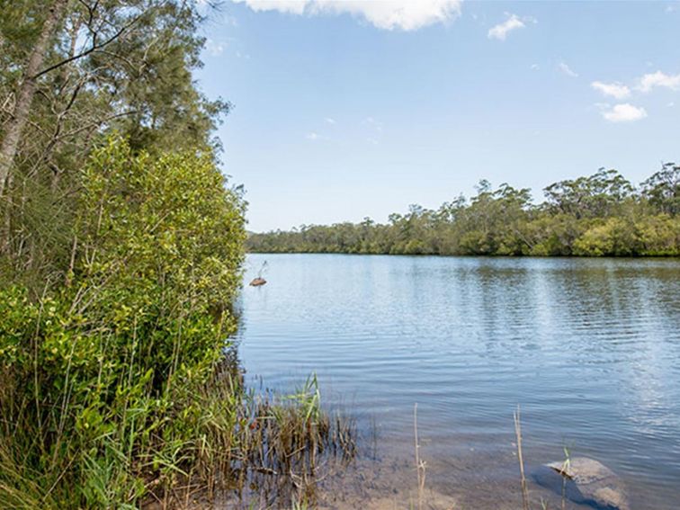 Cockatoo picnic area, Wallingat National Park. Photo: John Spencer