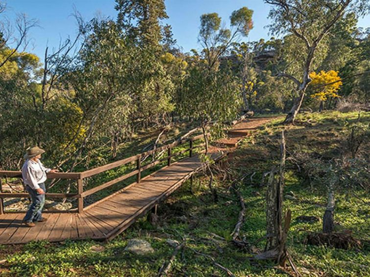 A man on Falcon Falls walking track in Cocoparra National Park. Photo: John Spencer/DPIE