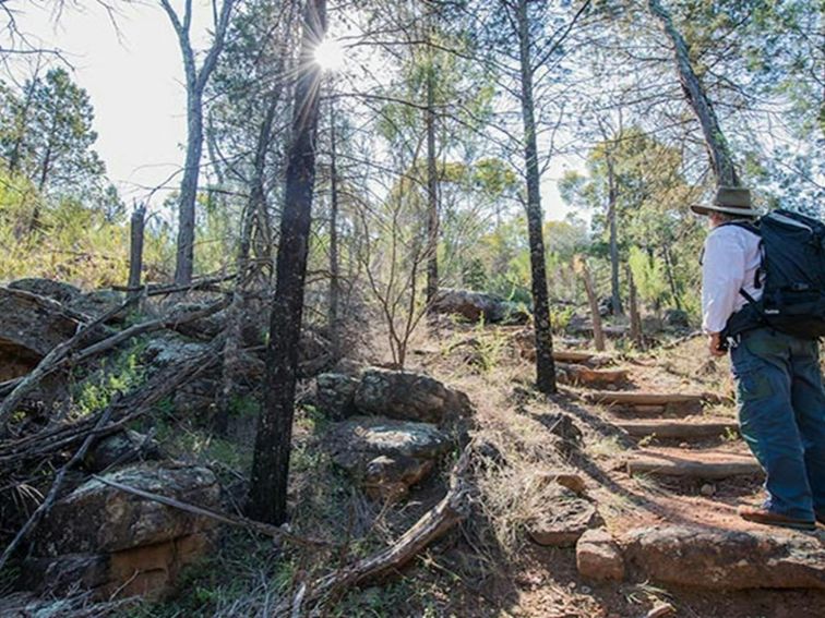 Cocoparra National Park. Photo: John Spencer