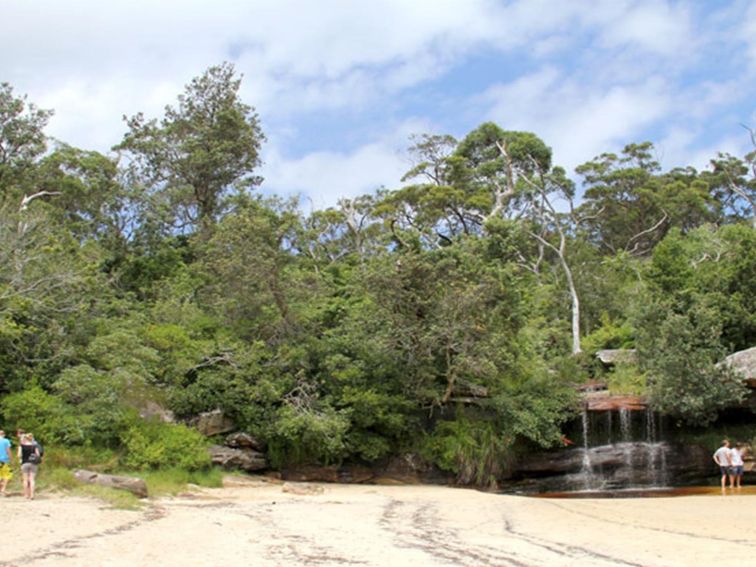 Collins Flat Beach, Sydney Harbour National Park. Photo: John Yurasek/NSW Government