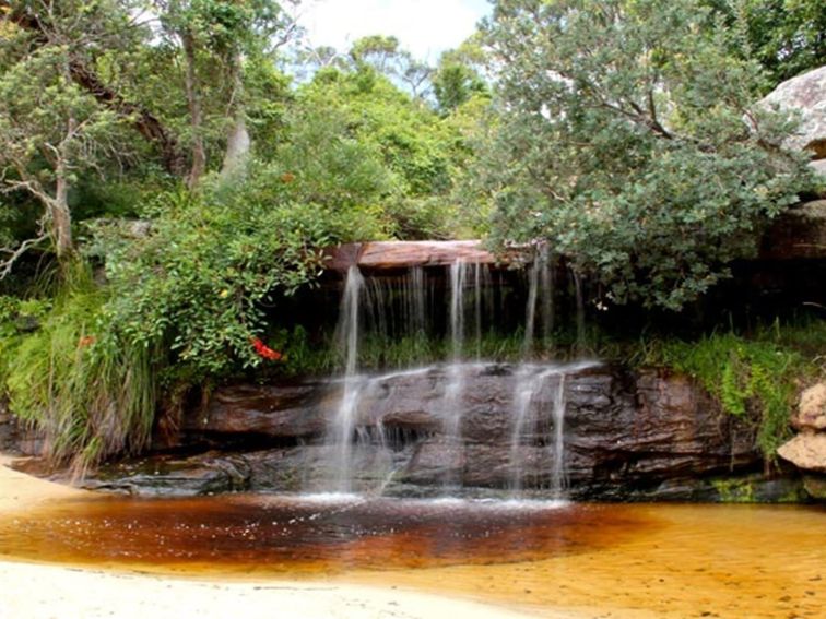 Collins Flat Beach, Sydney Harbour National Park. Photo: John Yurasek/NSW Government