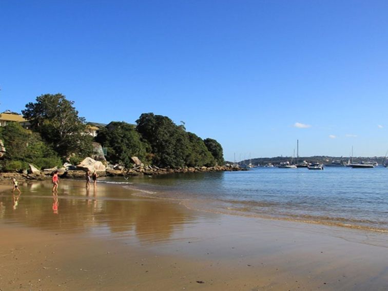 Collins Flat Beach, Sydney Harbour National Park. Photo: Natasha Webb/OEH