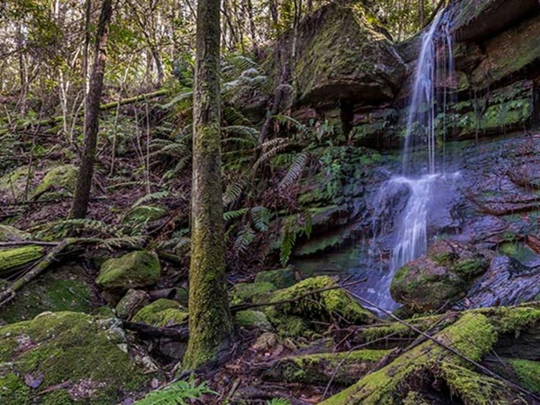 Coorabakh National Park. Photo: John Spencer/OEH