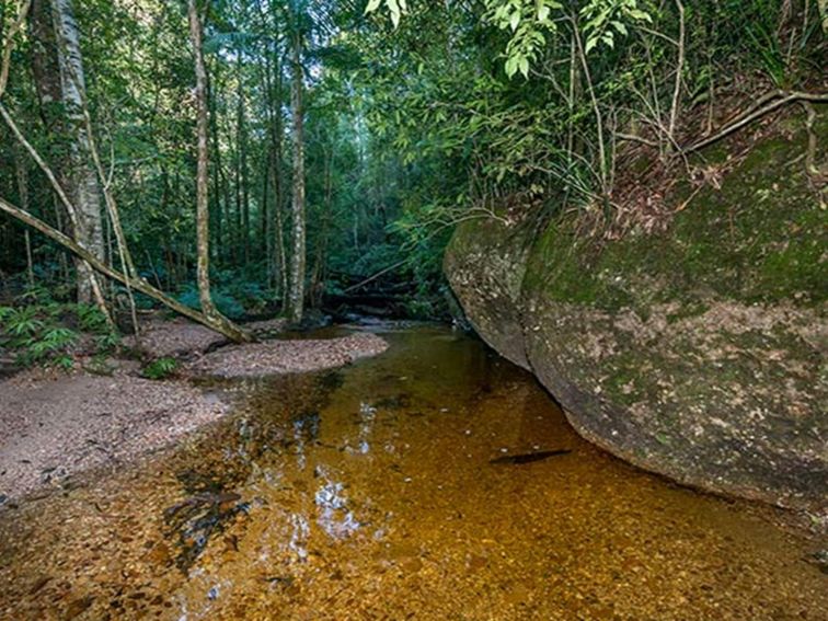 Coorabakh National Park. Photo: John Spencer/OEH