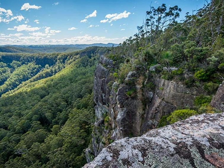 Coorabakh National Park. Photo: John Spencer/OEH