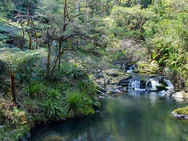 Cottan-Bimbang National Park, waterfall. Photo: John Spencer/OEH