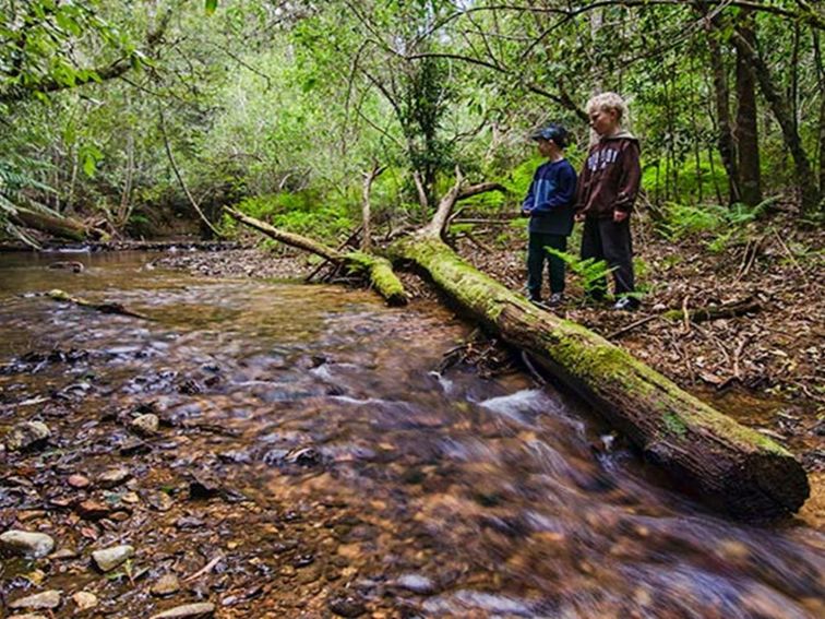 Maxwells Flat campground, Cottan-Bimbang National Park. Photo: John Spencer/OEH