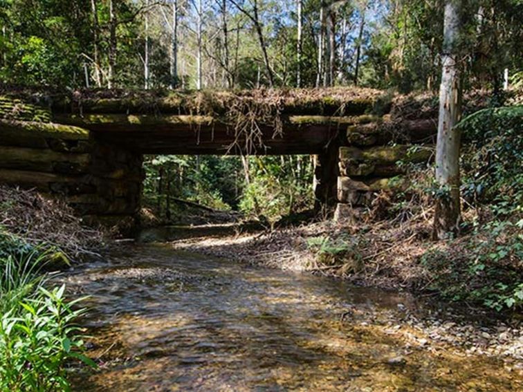 Myrtle Scrub scenic drive, Cottan-Bimbang National Park. Photo: John Spencer/OEH