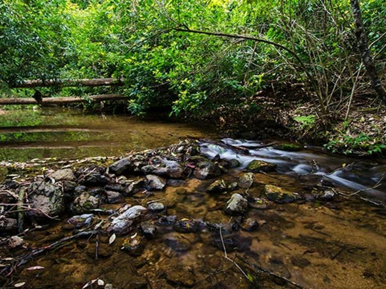 Maxwells Flat campground, Cottan-Bimbang National Park. Photo: John Spencer/OEH