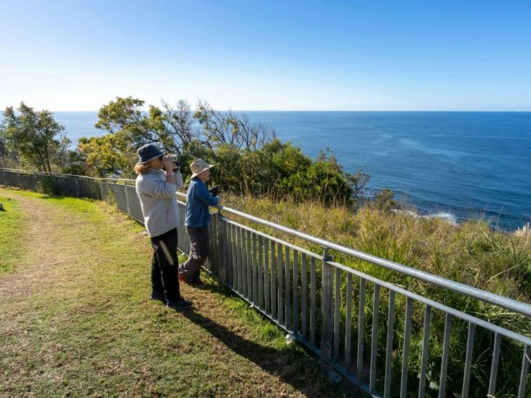 People whale-watching from Crackneck Point lookout in Wyrrabalong National Park. Photo: John Spencer
