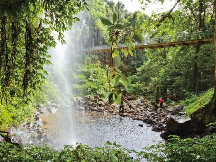 The view from behind the waterfall towards the suspension bridge at Crystal Shower Falls walk in