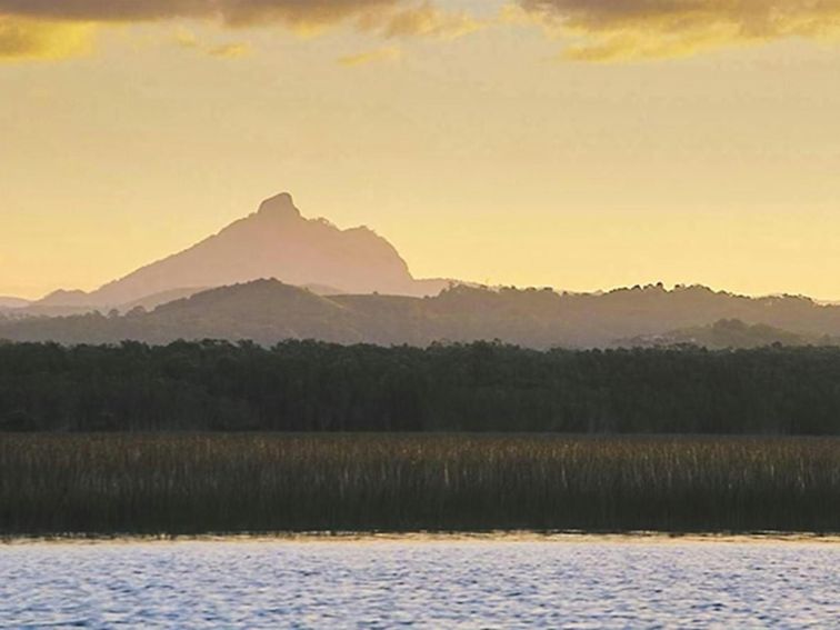 Cudgen Nature Reserve. Photo: NSW Government